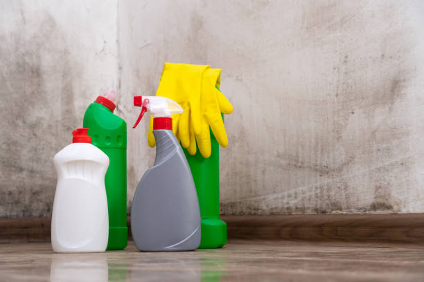 Mold Remediation for Vacation Homes